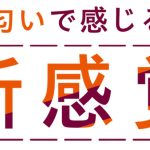 学校でパンツを見せてくる金髪女子●生 パンツの匂い