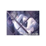 Angel’s Feather コンプリートセット